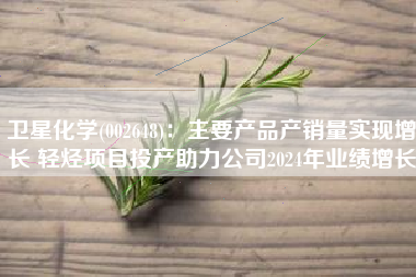 卫星化学(002648)：主要产品产销量实现增长 轻烃项目投产助力公司2024年业绩增长