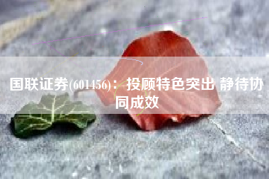 国联证券(601456)：投顾特色突出 静待协同成效
