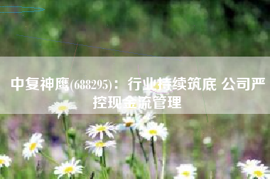 中复神鹰(688295)：行业持续筑底 公司严控现金流管理