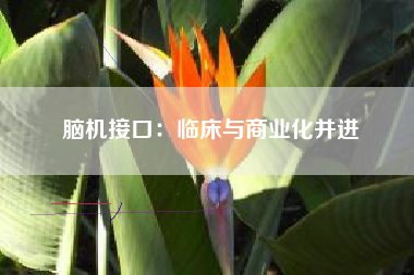 脑机接口：临床与商业化并进