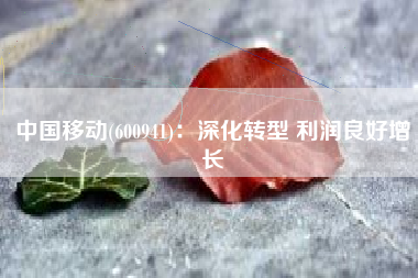 中国移动(600941)：深化转型 利润良好增长