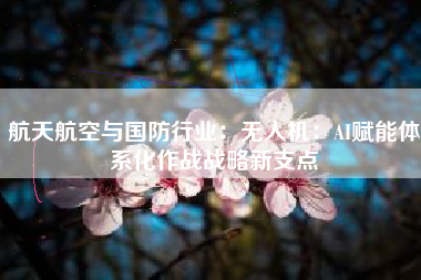 航天航空与国防行业：无人机：AI赋能体系化作战战略新支点