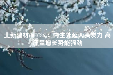 北新建材(000786)：内生外延两头发力 高质量增长势能强劲