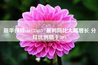 新华保险(601336)：盈利同比大幅增长 分红比例稳于30%