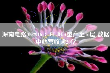 深南电路(002916)：FC-BGA量产至16层 数据中心营收逾20亿