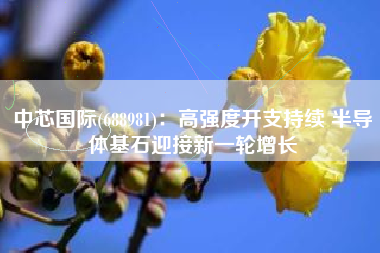 中芯国际(688981)：高强度开支持续 半导体基石迎接新一轮增长