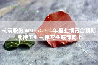 杭氧股份(002430)：2024年报业绩符合预期 期待工业气体龙头底部向上