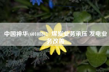 中国神华(601088)：煤炭业务承压 发电业务改善