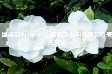 潍柴动力(000338)：高端动力与物流装备表现突出