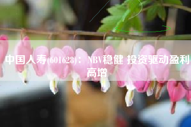 中国人寿(601628)：NBV稳健 投资驱动盈利高增