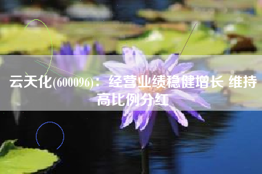 云天化(600096)：经营业绩稳健增长 维持高比例分红