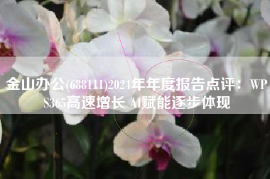 金山办公(688111)2024年年度报告点评：WPS365高速增长 AI赋能逐步体现