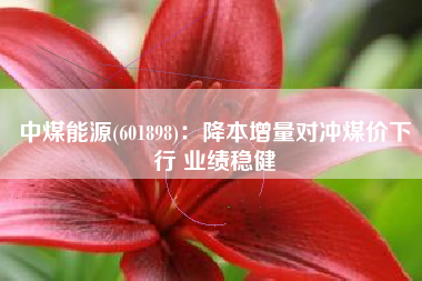 中煤能源(601898)：降本增量对冲煤价下行 业绩稳健