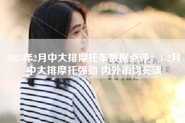 2025年2月中大排摩托车数据点评：1-2月中大排摩托强劲 内外销均亮眼