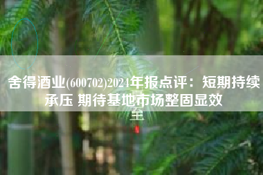 舍得酒业(600702)2024年报点评：短期持续承压 期待基地市场整固显效