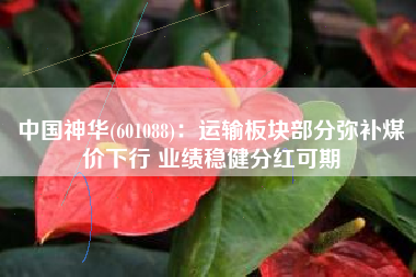 中国神华(601088)：运输板块部分弥补煤价下行 业绩稳健分红可期