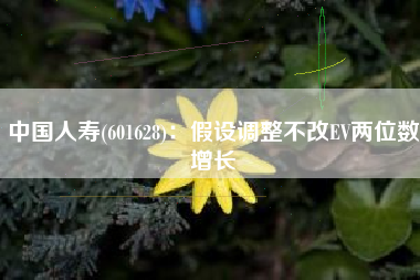 中国人寿(601628)：假设调整不改EV两位数增长