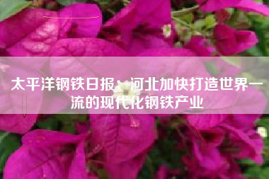 太平洋钢铁日报：河北加快打造世界一流的现代化钢铁产业
