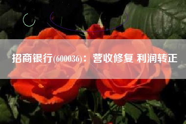 招商银行(600036)：营收修复 利润转正