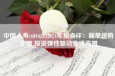 中国人寿(601628)2024年报点评：新单逆势正增 投资弹性驱动业绩高增