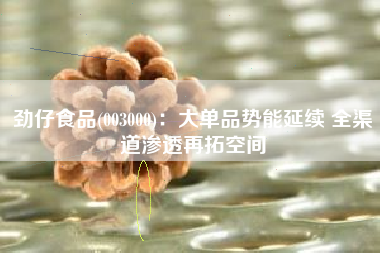 劲仔食品(003000)：大单品势能延续 全渠道渗透再拓空间