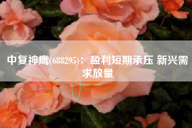 中复神鹰(688295)：盈利短期承压 新兴需求放量