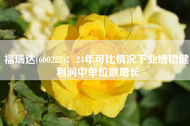 福瑞达(600223)：24年可比情况下业绩稳健 利润中单位数增长