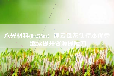 永兴材料(002756)：锂云母龙头控本优秀 继续提升资源保障力