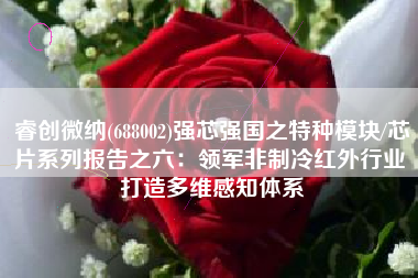 睿创微纳(688002)强芯强国之特种模块/芯片系列报告之六：领军非制冷红外行业 打造多维感知体系