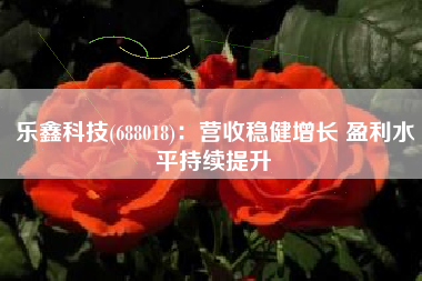 乐鑫科技(688018)：营收稳健增长 盈利水平持续提升