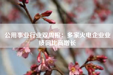 公用事业行业双周报：多家火电企业业绩同比高增长