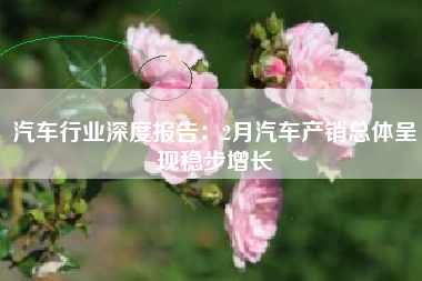 汽车行业深度报告：2月汽车产销总体呈现稳步增长