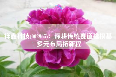 祥鑫科技(002965)：深耕传统赛道稳根基 多元布局拓新程