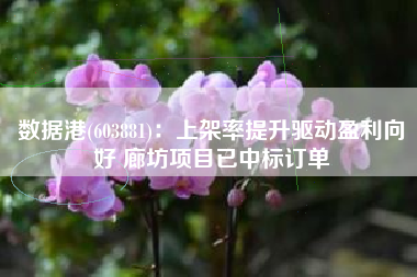 数据港(603881)：上架率提升驱动盈利向好 廊坊项目已中标订单