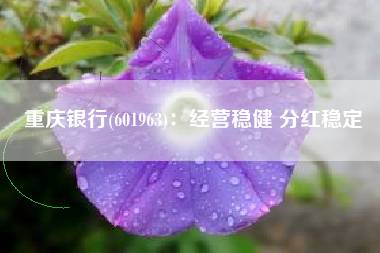 重庆银行(601963)：经营稳健 分红稳定