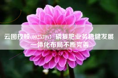 云图控股(002539)：磷复肥业务稳健发展 一体化布局不断完善