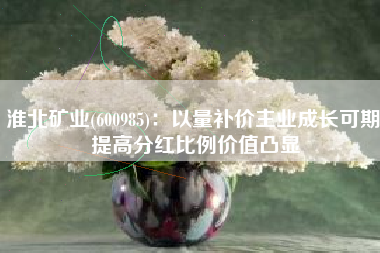 淮北矿业(600985)：以量补价主业成长可期 提高分红比例价值凸显