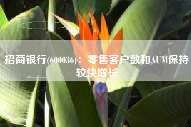 招商银行(600036)：零售客户数和AUM保持较快增长