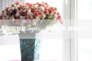 明阳智能(601615)：乘风起势 奋楫扬帆