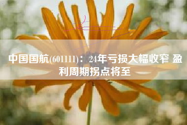 中国国航(601111)：24年亏损大幅收窄 盈利周期拐点将至