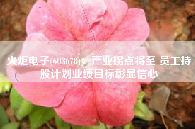 火炬电子(603678)：产业拐点将至 员工持股计划业绩目标彰显信心