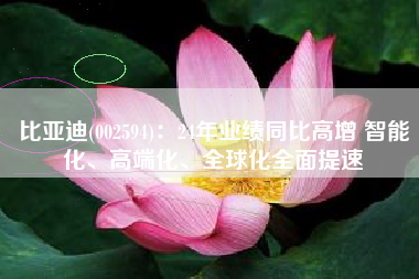 比亚迪(002594)：24年业绩同比高增 智能化、高端化、全球化全面提速