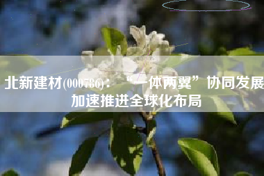 北新建材(000786)：“一体两翼”协同发展 加速推进全球化布局