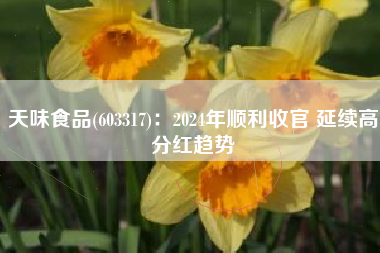 天味食品(603317)：2024年顺利收官 延续高分红趋势