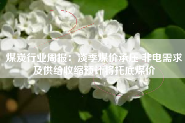 煤炭行业周报：淡季煤价承压 非电需求及供给收缩预计将托底煤价