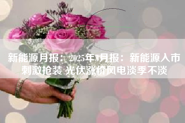 新能源月报：2025年3月报：新能源入市刺激抢装 光伏涨价风电淡季不淡
