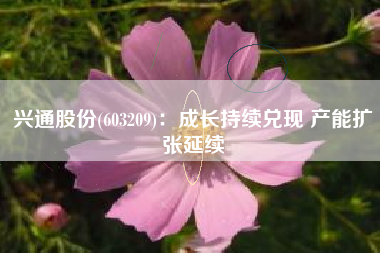 兴通股份(603209)：成长持续兑现 产能扩张延续
