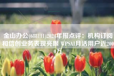 金山办公(688111)2024年报点评：机构订阅和信创业务表现亮眼 WPSAI月活用户近2000万