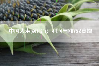 中国人寿(601628)：利润与NBV双高增