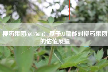 柳药集团(603368)：基于AI赋能对柳药集团的估值展望